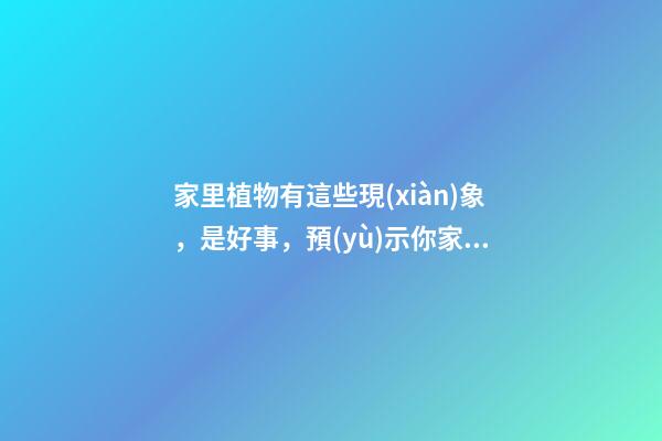 家里植物有這些現(xiàn)象，是好事，預(yù)示你家要發(fā)大財了！